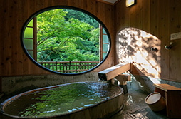 Information on the suite rooms with onsen.